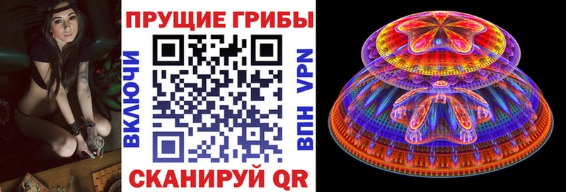 Галлюциногенные грибы прущие грибы  Кострома 